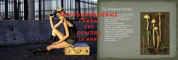 молекула духа Баксан