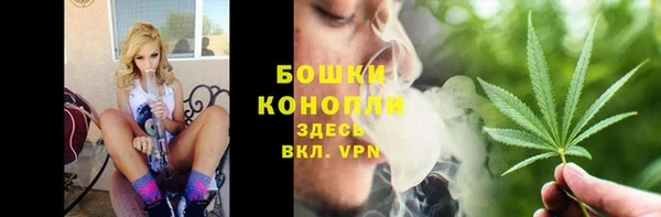 шишки Белоозёрский