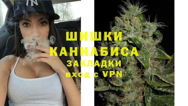 шишки Белоозёрский