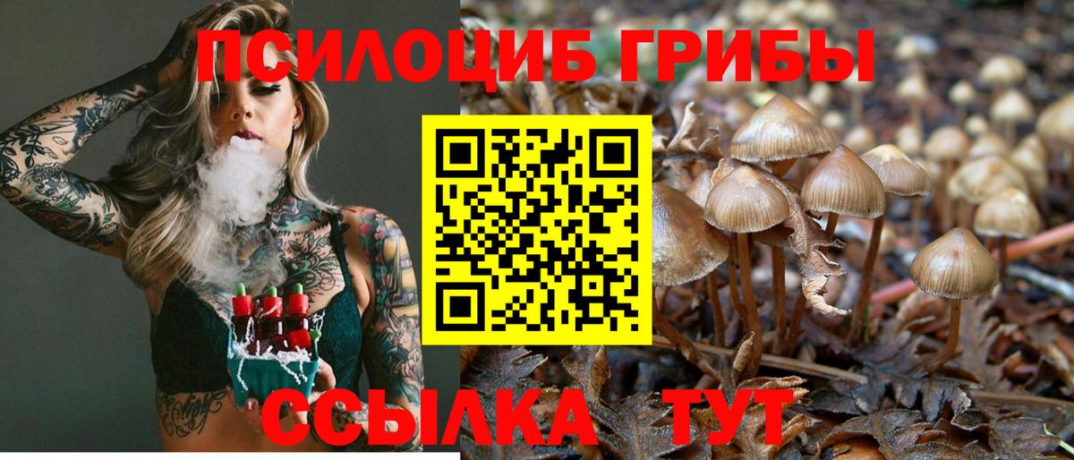 ГАШ  Великий Устюг  Вход с VPN  ЭКСТАЗИ  Меф кристаллы  Каннабис  Мефедрон 