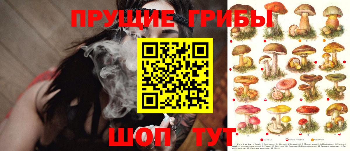 Великий Устюг  Галлюциногенные грибы прущие грибы  Вход с VPN  Псилоцибиновые грибы мухоморы 